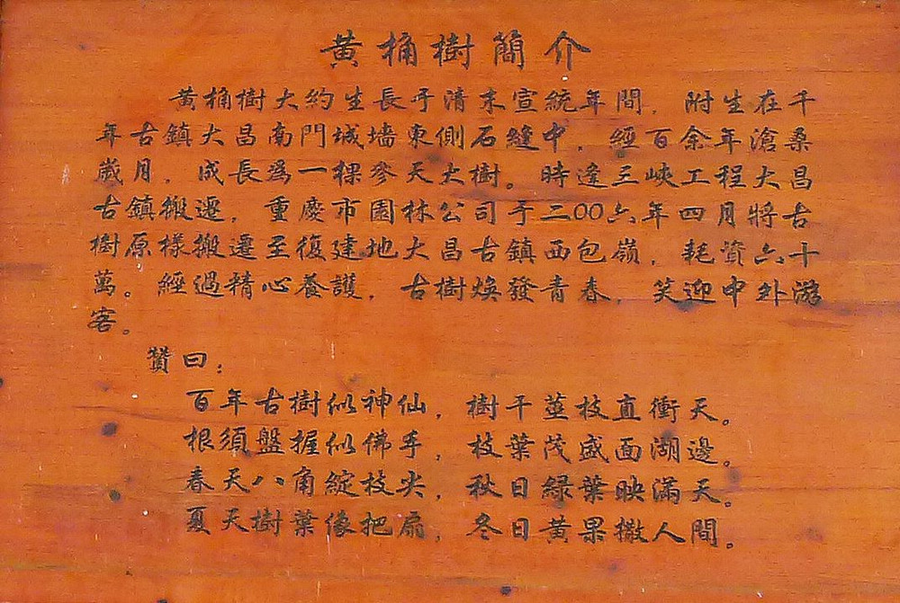 p1240727___.jpg