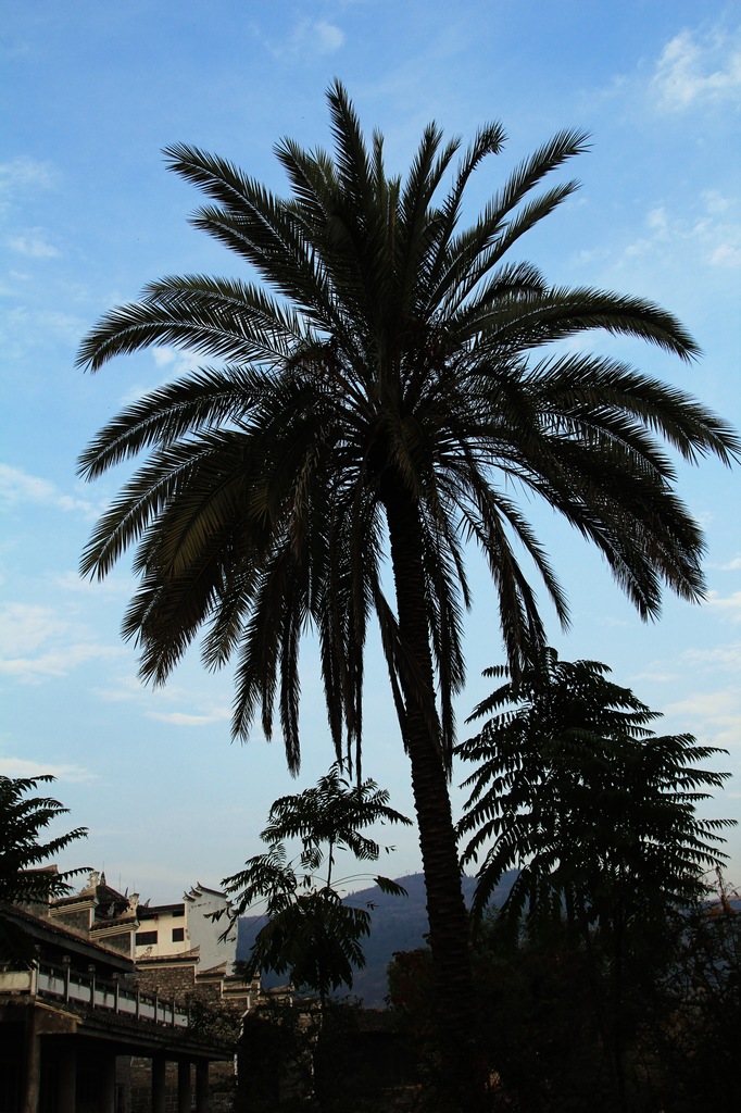 neo_img_img_3041.jpg