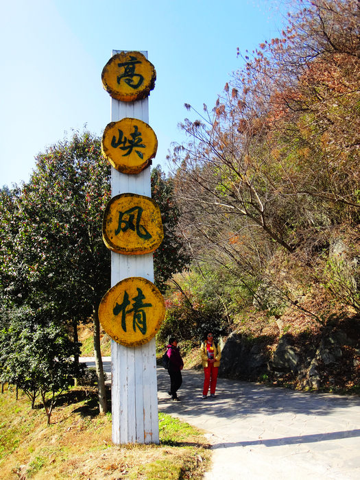 dsc04760.jpg