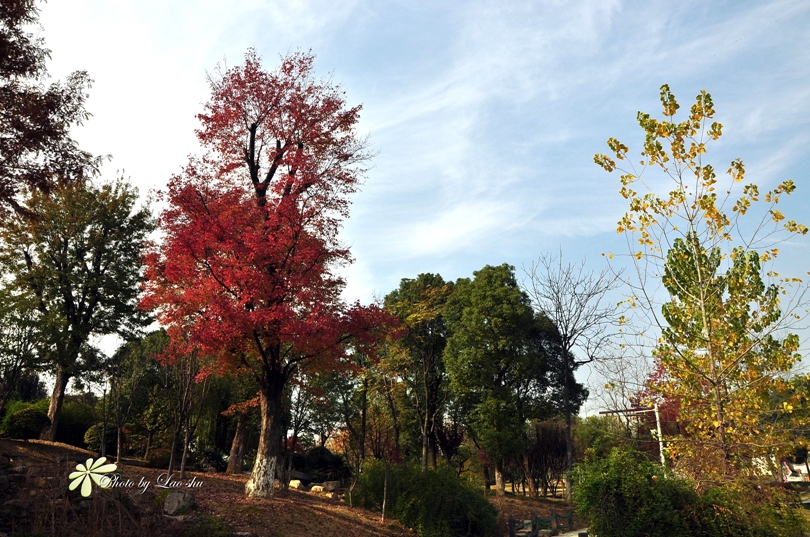 pdsc_5778.jpg