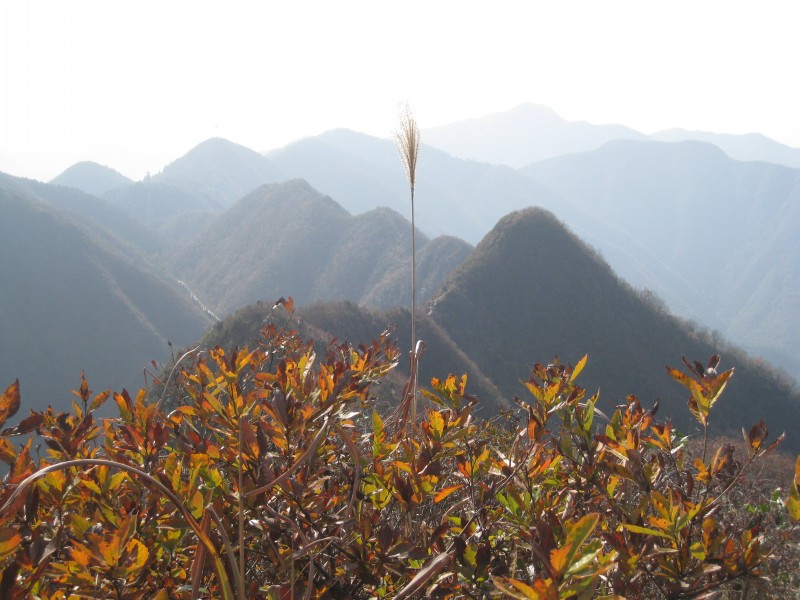 conew_img_4598.jpg