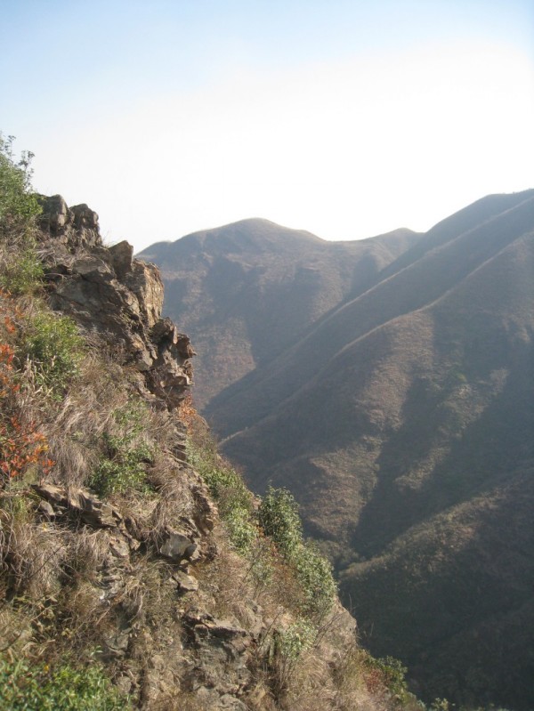 conew_conew_img_4644.jpg
