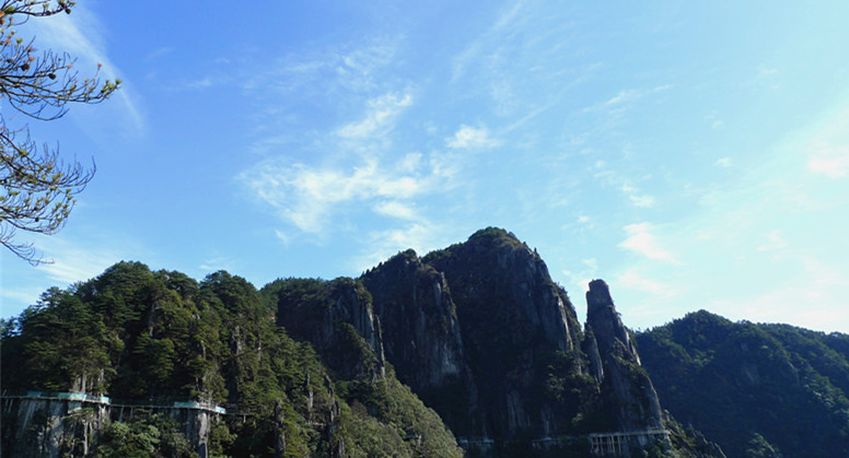 p1120094_1.jpg
