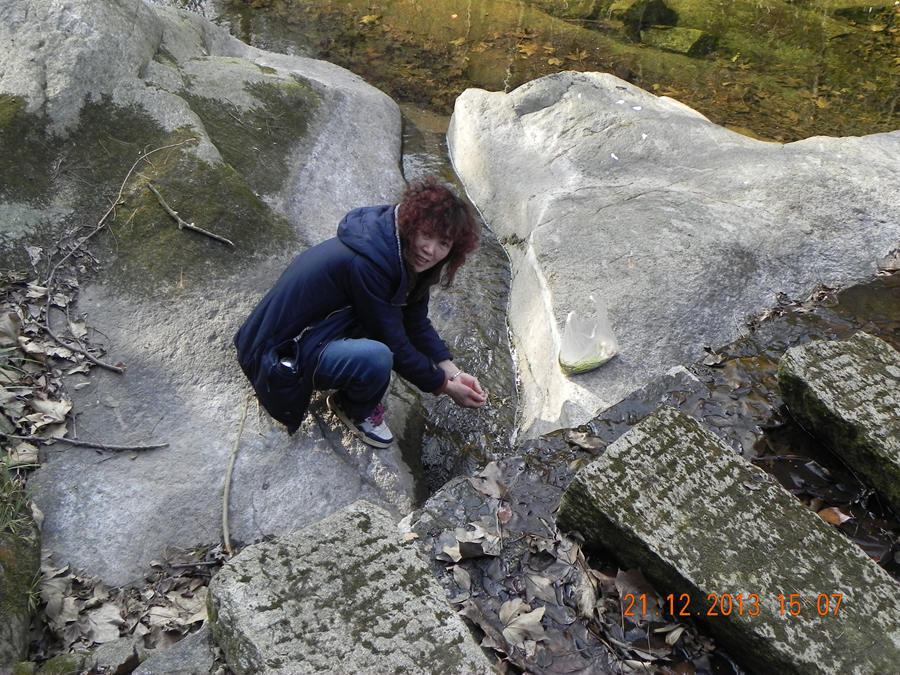 dscn6717.jpg
