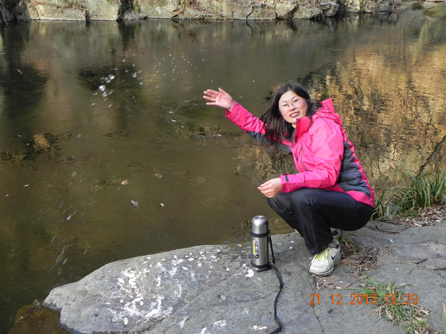 dscn6739.jpg