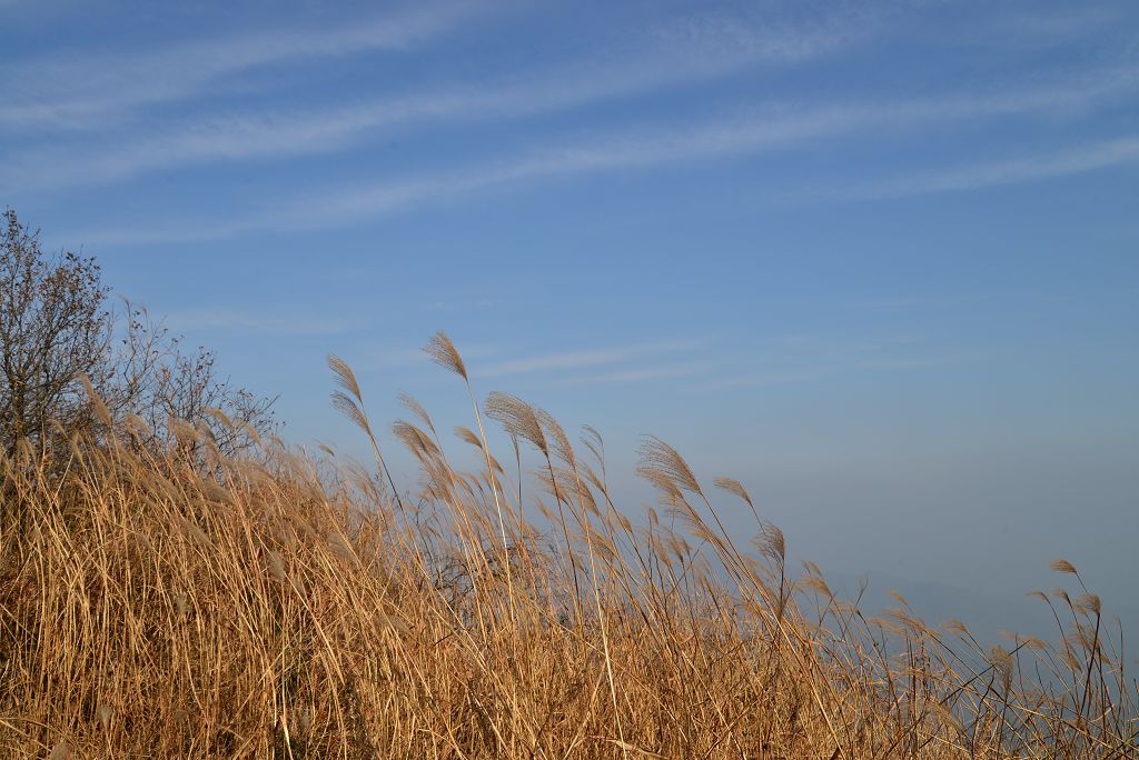 dsc_2090_Ŀѹ.jpg
