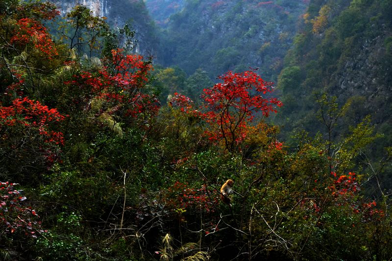 dsc_2236.jpg