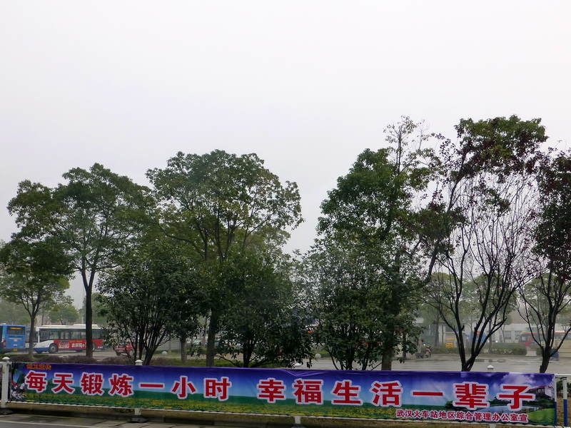 p1150641.jpg
