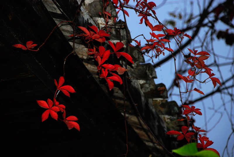 dsc_0624.jpg