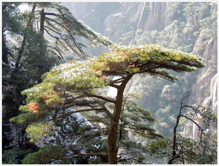 ɽ 177_.jpg