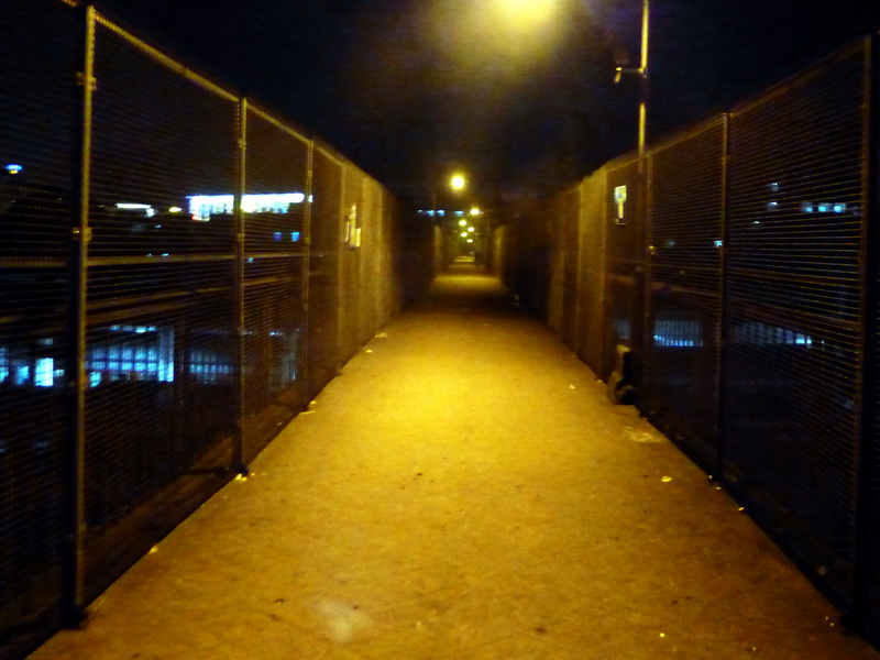 p1150717.jpg