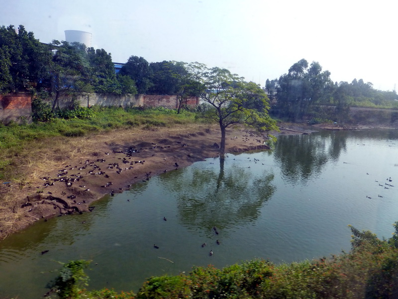 p1150747.jpg