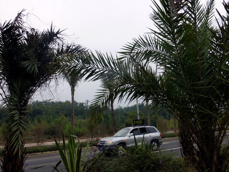 p1150935.jpg