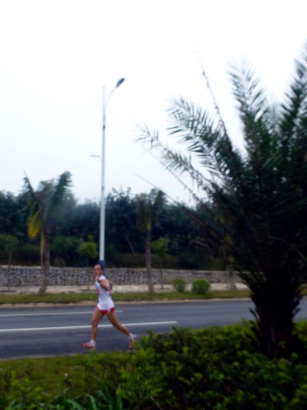 p1150944.jpg