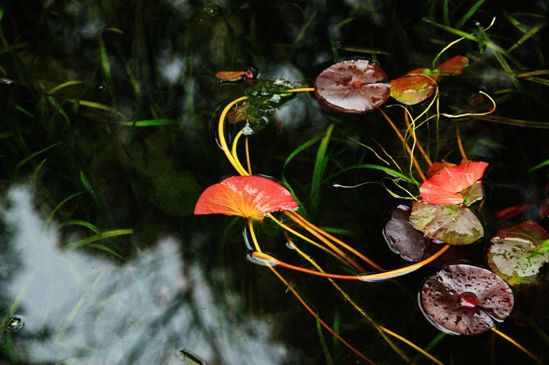  2012.12.5 366_.jpg