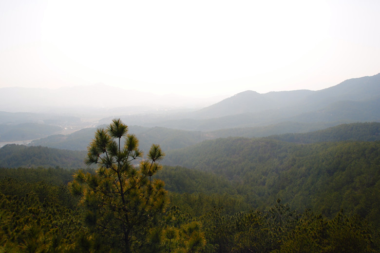 dsc_0007_.jpg
