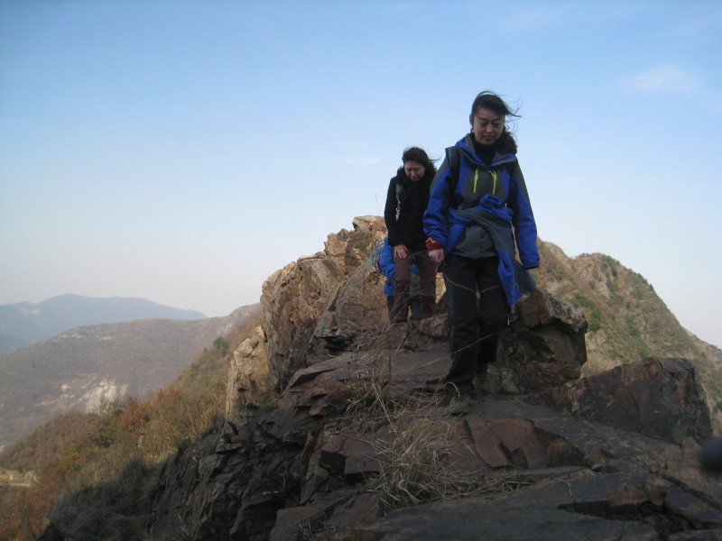 conew_img_4695.jpg