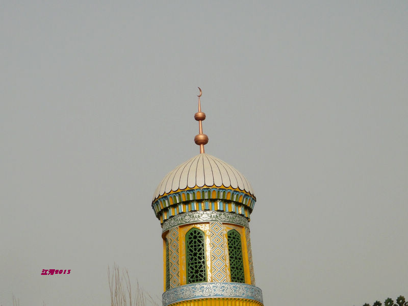 dsc00420.jpg