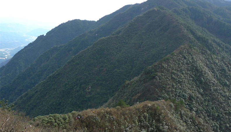 p1120188_1.jpg