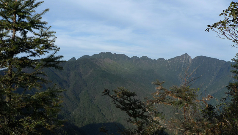 p1120252_2.jpg