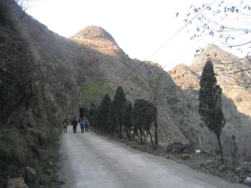 conew_img_4746.jpg