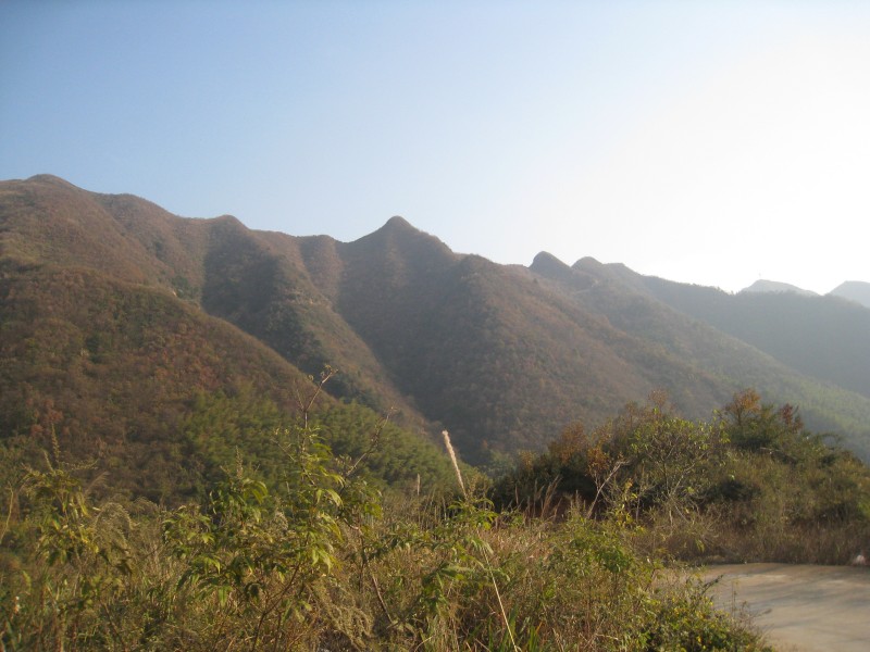 conew_img_4774.jpg
