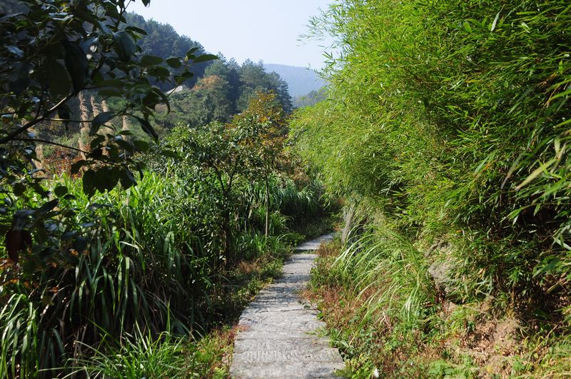 165.jpg