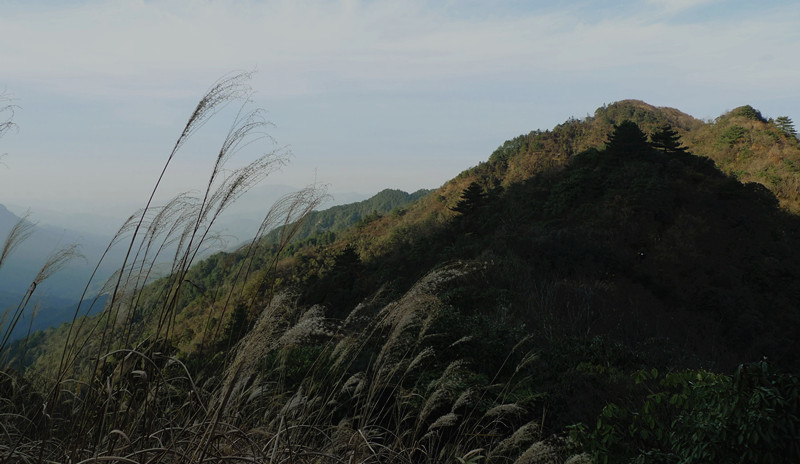 p1120273_1.jpg