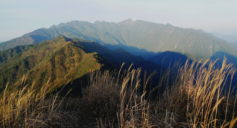 p1120332_1.jpg