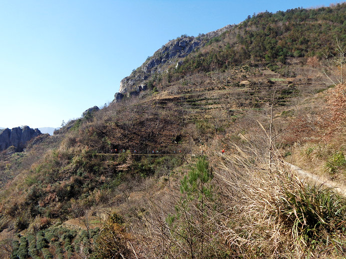 77.jpg