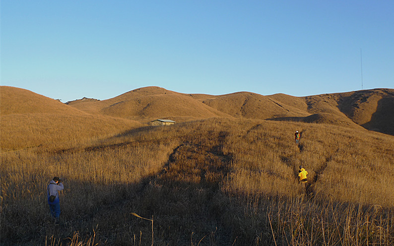 p1120548_1.jpg
