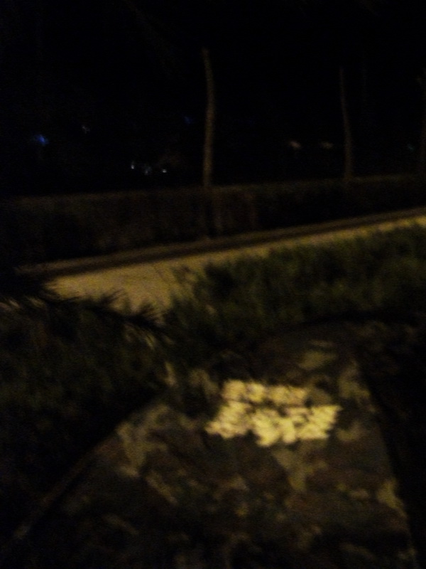 dscf0677.jpg