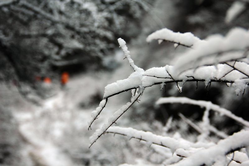 20131221511490349.jpg