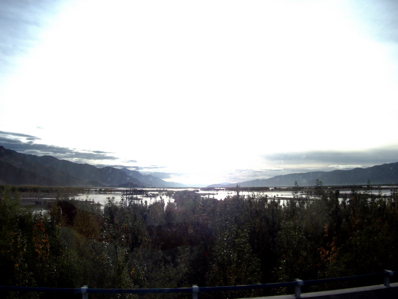 dscf0701.jpg