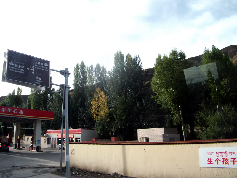 dscf0703.jpg