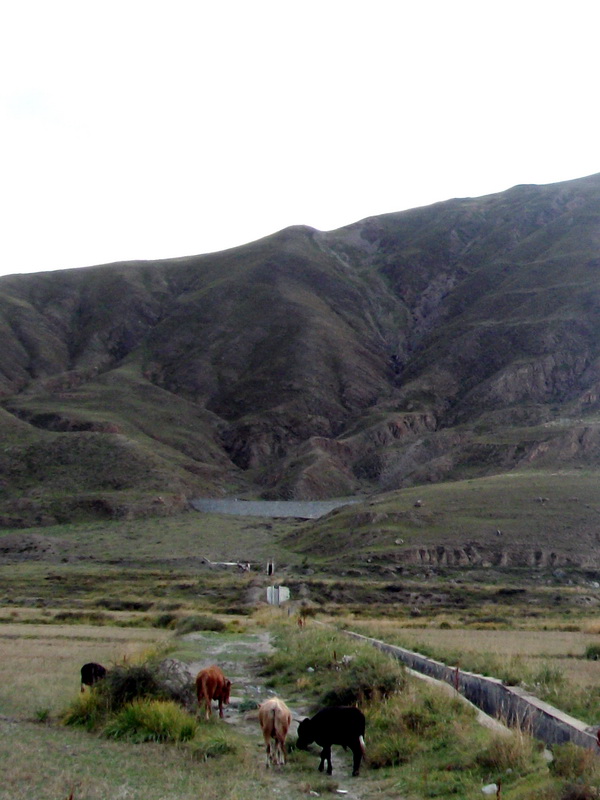 dscf0736.jpg