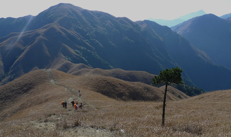 p1120654_1.jpg