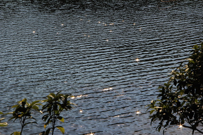 img_0718_СС.jpg
