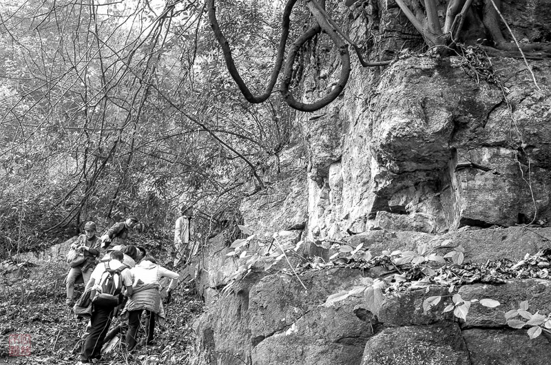 l1002264.jpg