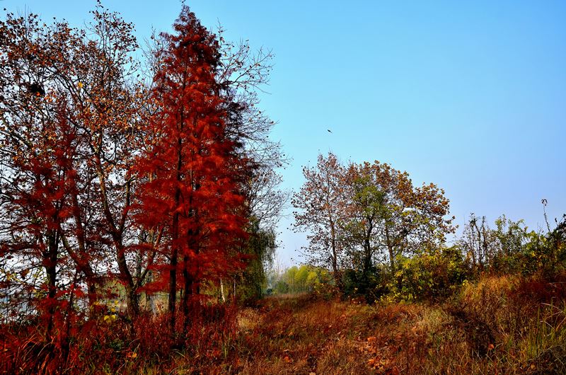 dsc_8089.jpg