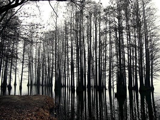 2013.01.30ĥɽͽ08.jpg