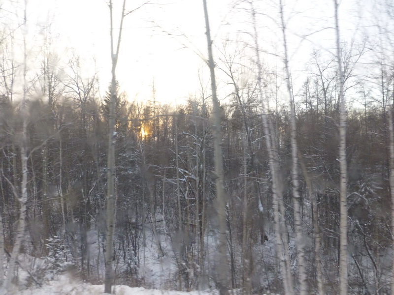 p1010215.jpg