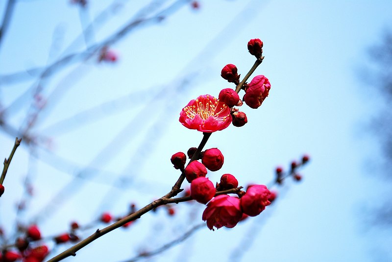 neo_img_dsc_2501_conew1.jpg