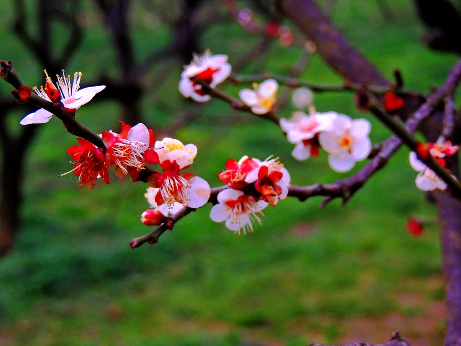 dscn2194.jpg