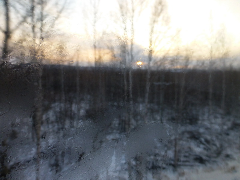 p1010247.jpg