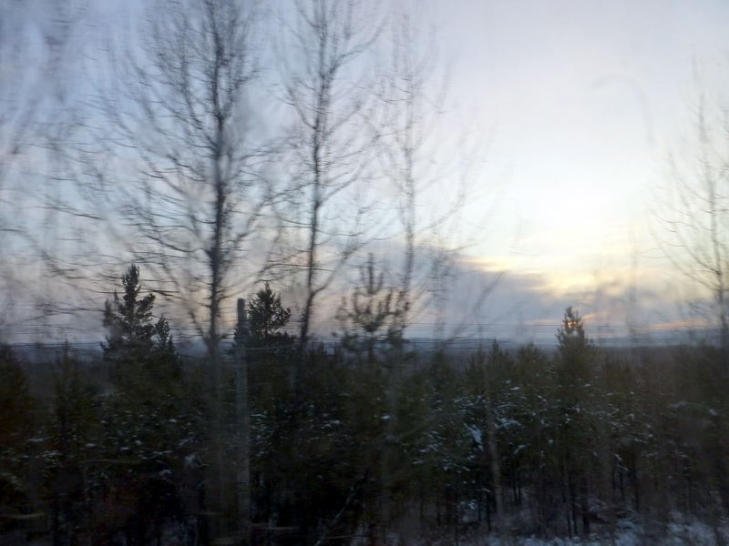 p1010253.jpg