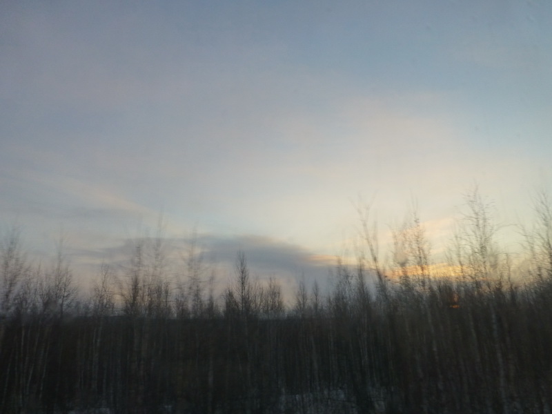 p1010258.jpg