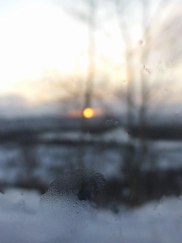 p1010264.jpg