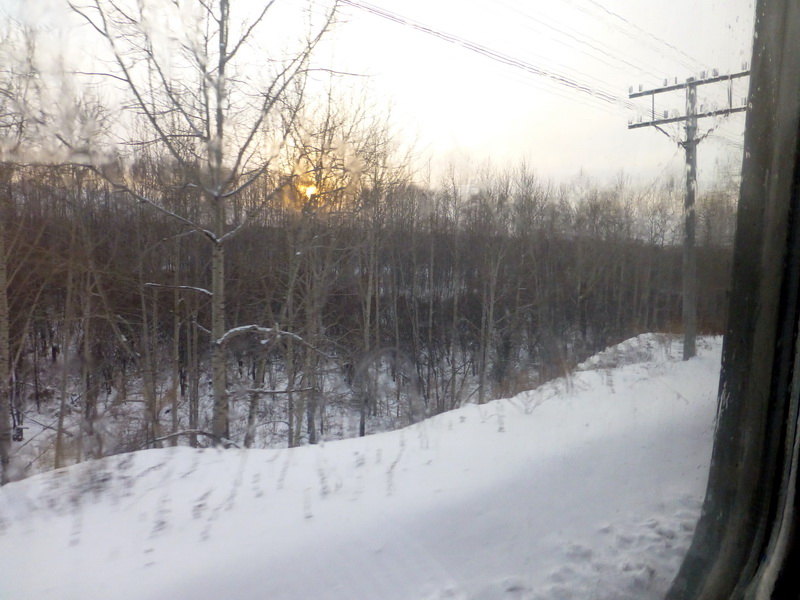 p1010211.jpg