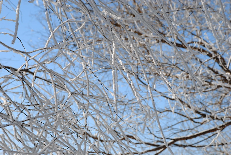 dsc_3344.jpg